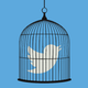 Image for article titled Social Media Censorship Is Hurting Those on the Margins, EFF Project Contends